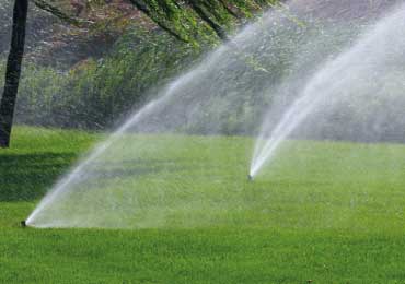 Garden water sprays